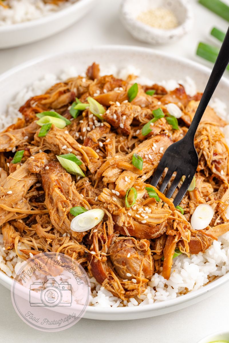 Slow Cooker Honey Garlic Chicken - Exclusive