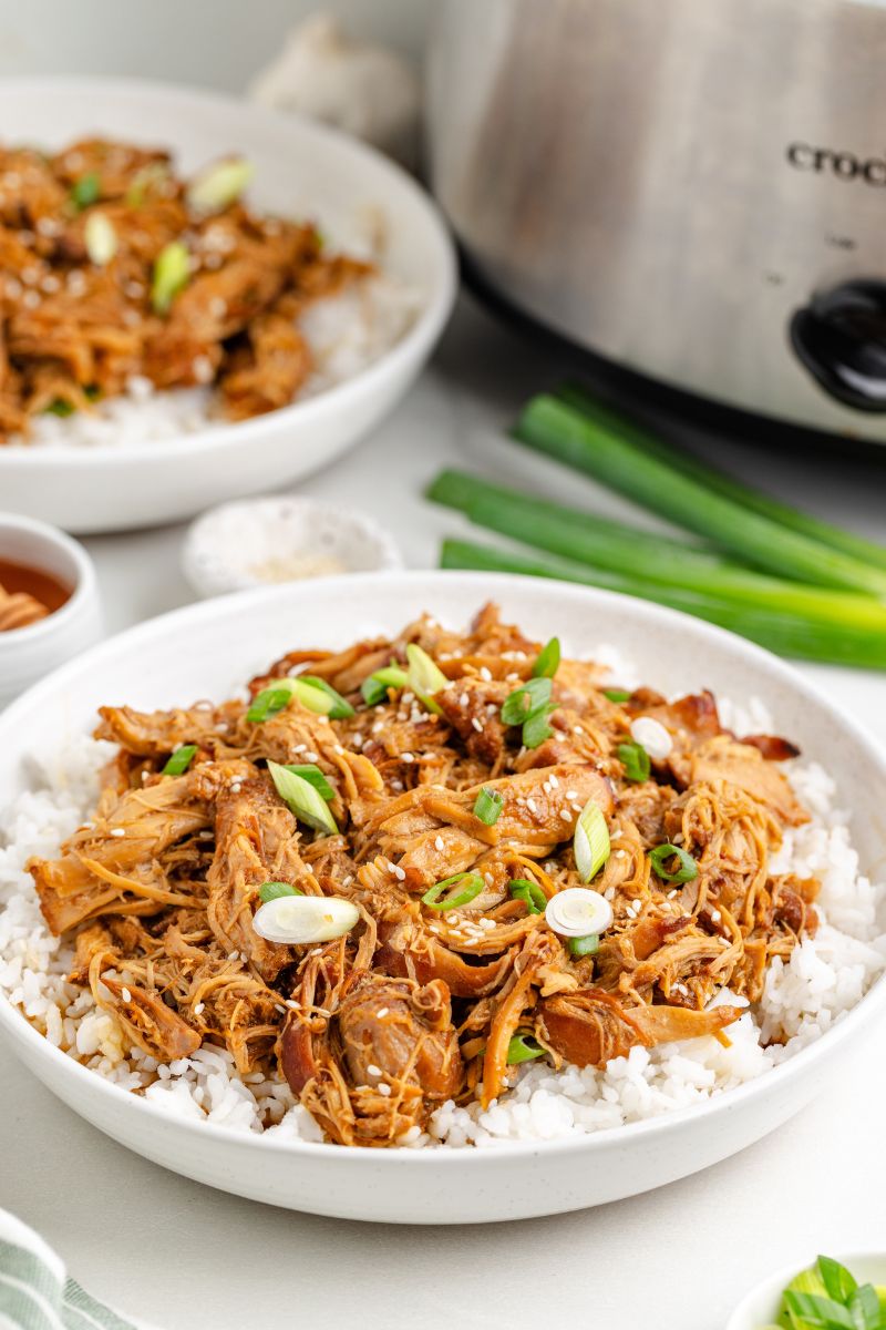 Slow Cooker Honey Garlic Chicken - Exclusive