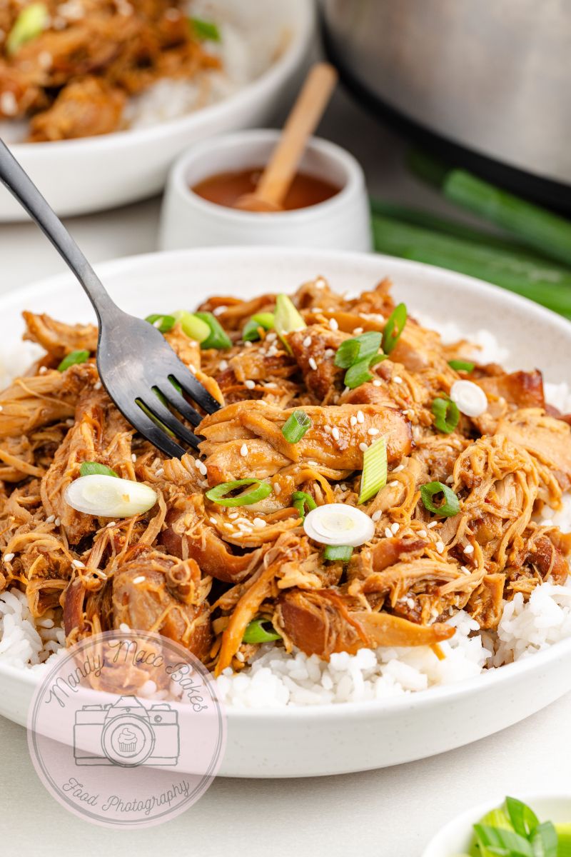 Slow Cooker Honey Garlic Chicken - Exclusive