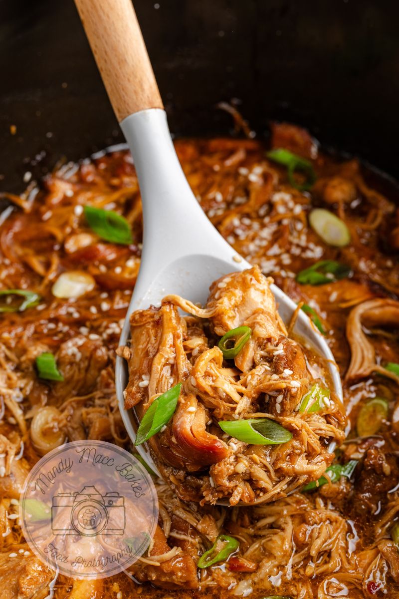 Slow Cooker Honey Garlic Chicken - Exclusive